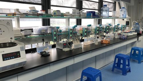 早篩新星天浚元生生物獲國(guó)高生物戰(zhàn)投，開啟健康與環(huán)保跨界創(chuàng)新