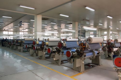 破浪前行 金輪針布業(yè)績(jī)?cè)鲩L(zhǎng)30%背后的多維驅(qū)動(dòng)力