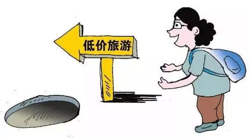 旅游市場(chǎng)暗涌 一日游強(qiáng)制消費(fèi)問(wèn)題仍存，北京消協(xié)發(fā)布監(jiān)測(cè)報(bào)告